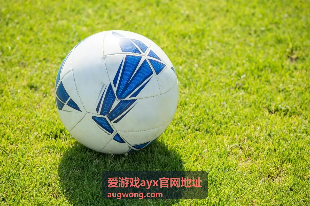 爱游戏ayx官网地址游戏资讯热门话题整理配图