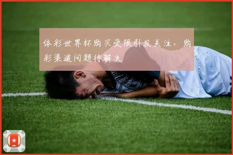 体彩世界杯购买受限引发关注，购彩渠道问题待解决